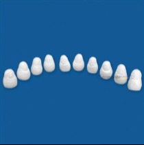 Boneca Russa p/ Palito kit com 10
